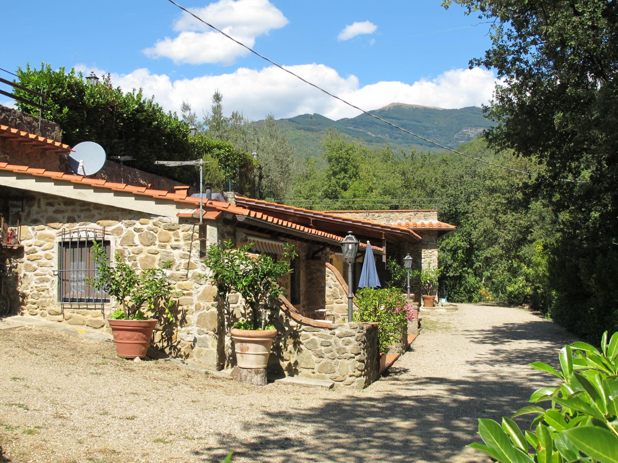 Photo 14 - Maison de 1 chambre à Loro Ciuffenna avec piscine et jardin