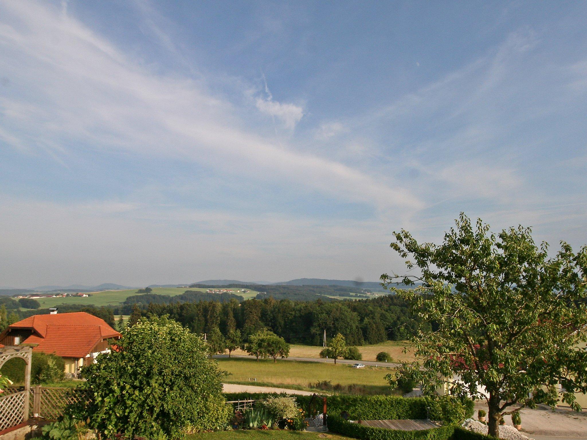 Photo 13 - Appartement de 2 chambres à Kirchberg bei Mattighofen avec vues sur la montagne