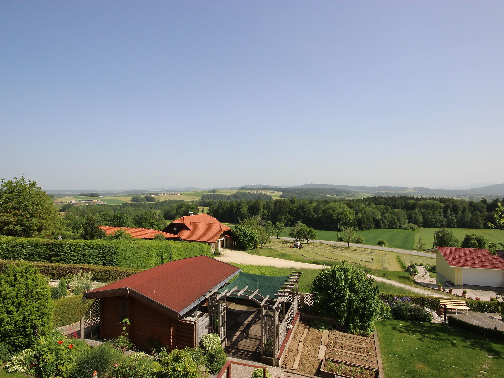 Foto 15 - Apartment mit 2 Schlafzimmern in Kirchberg bei Mattighofen mit blick auf die berge