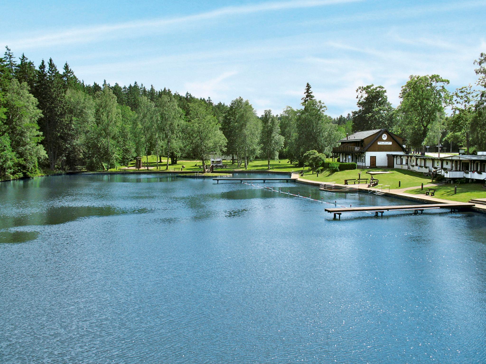 Foto 16 - Casa de 2 quartos em Oberharz am Brocken com jardim e terraço