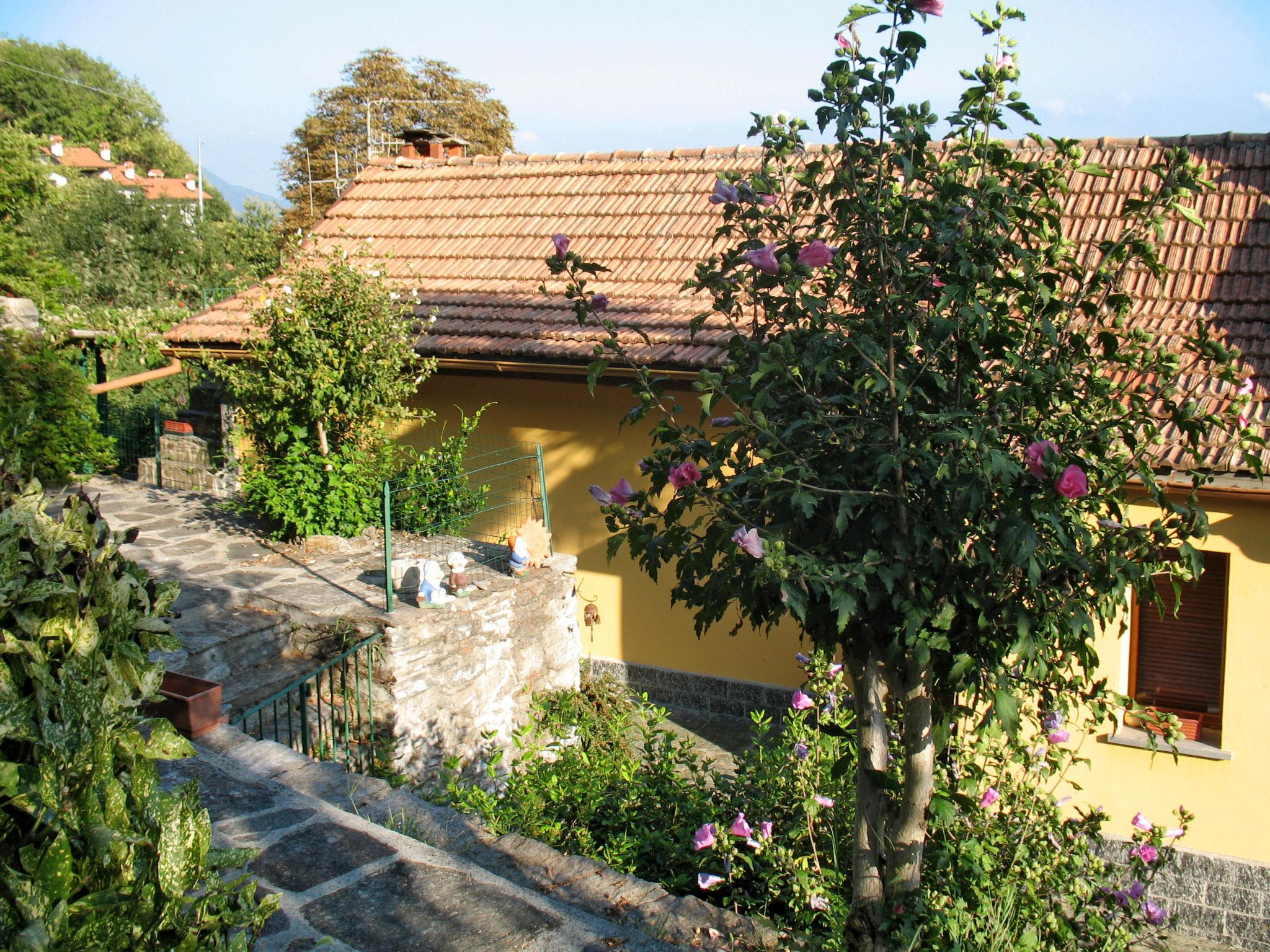 Photo 1 - Maison de 2 chambres à Trarego Viggiona avec terrasse et vues sur la montagne