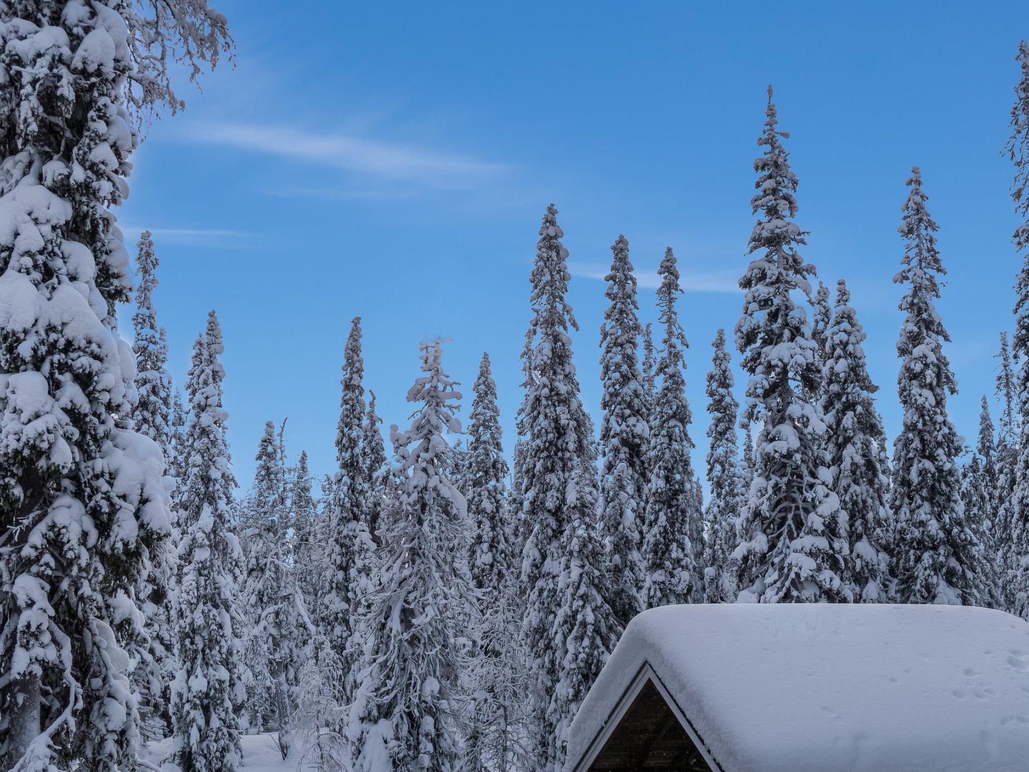 Foto 15 - Casa con 3 camere da letto a Kuusamo con sauna e vista sulle montagne