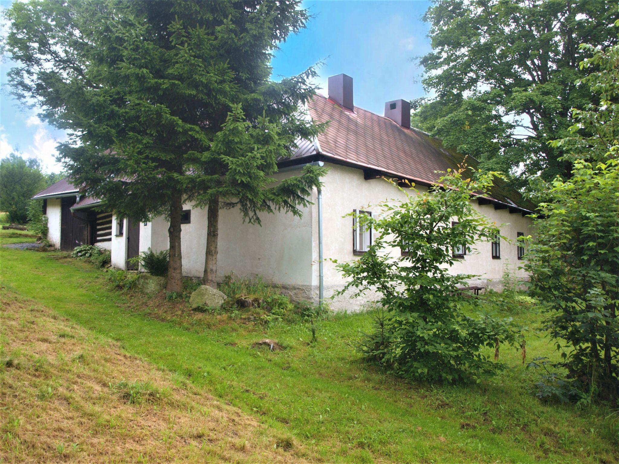 Foto 9 - Haus mit 3 Schlafzimmern in Svratouch mit garten