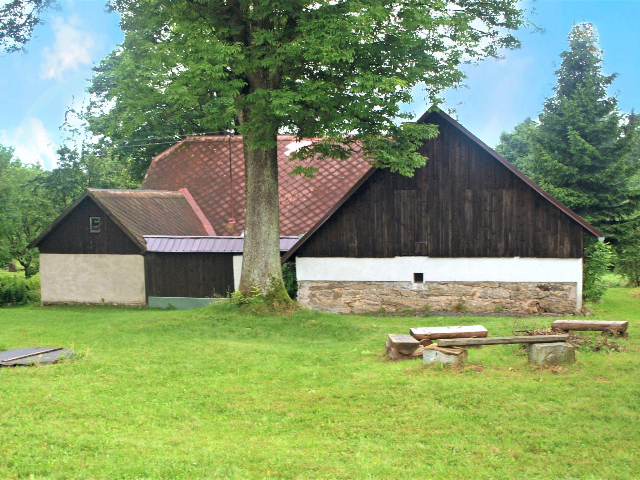 Photo 10 - Maison de 3 chambres à Svratouch avec jardin