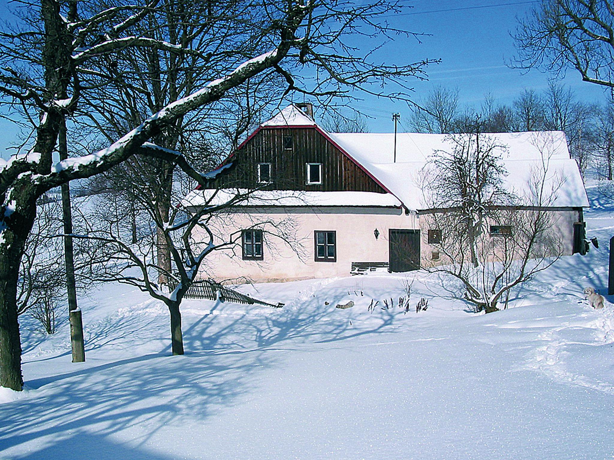 Photo 11 - Maison de 3 chambres à Svratouch avec jardin