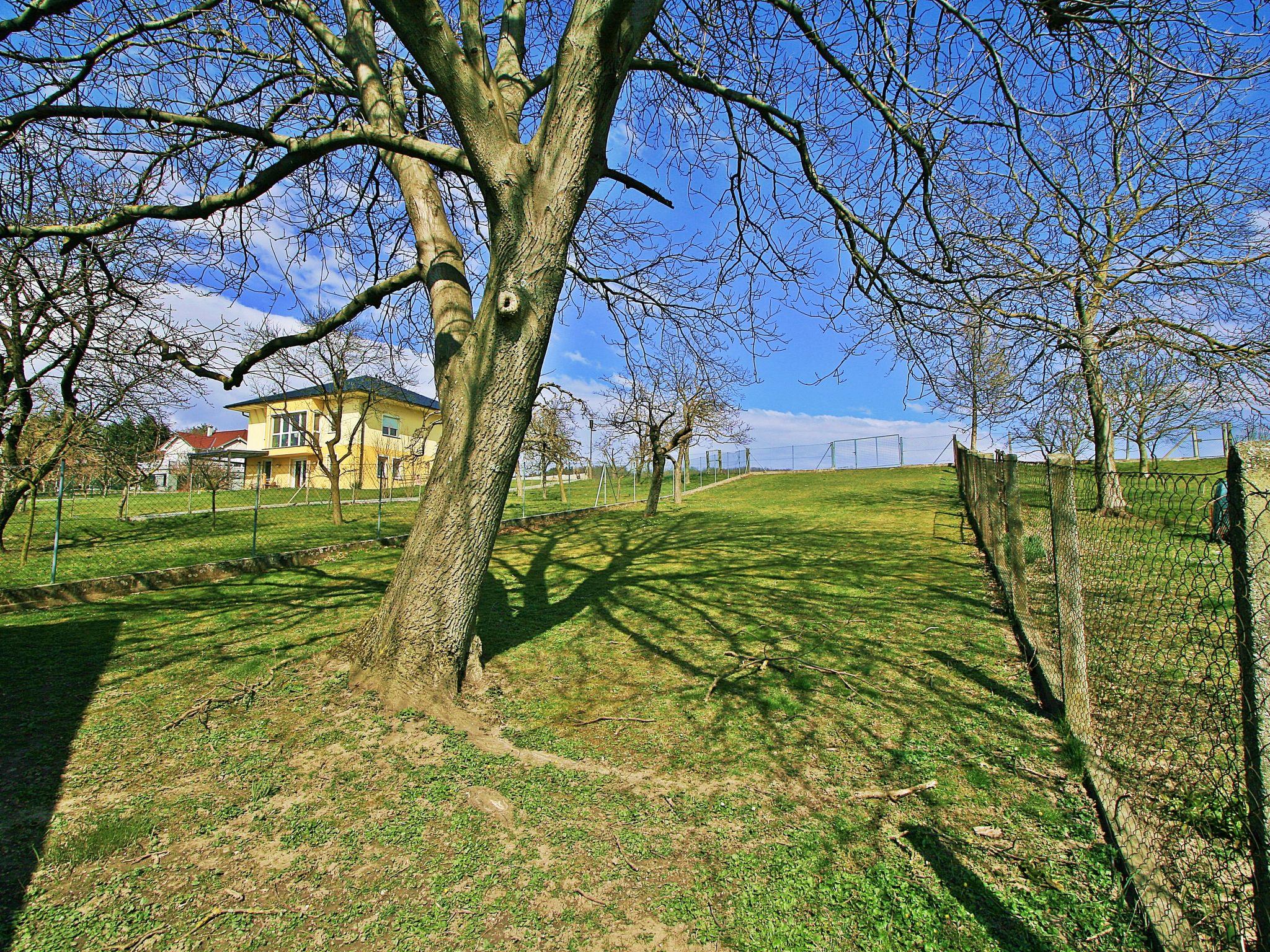 Photo 23 - Maison de 2 chambres à Ritzing avec jardin et bain à remous