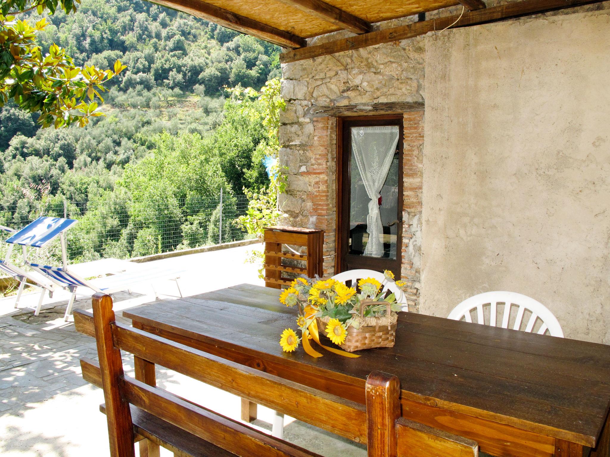 Photo 4 - Maison de 1 chambre à Pescaglia avec jardin et terrasse