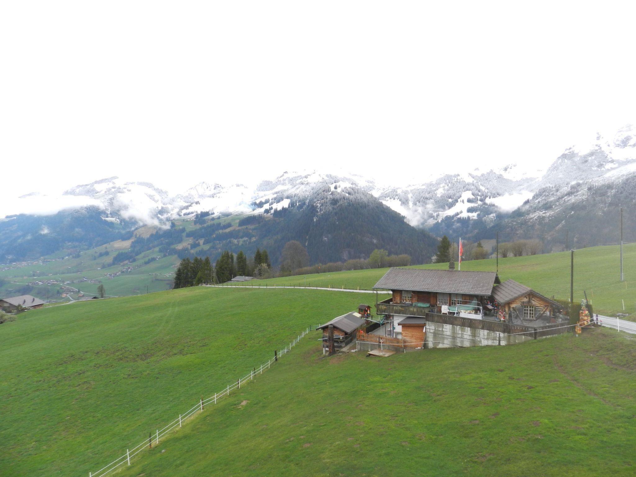 Photo 8 - Appartement de 4 chambres à Zweisimmen