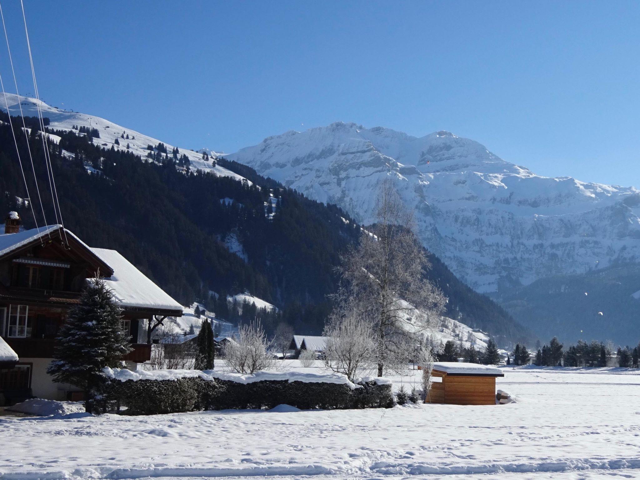 Foto 7 - Appartamento con 2 camere da letto a Lenk con giardino