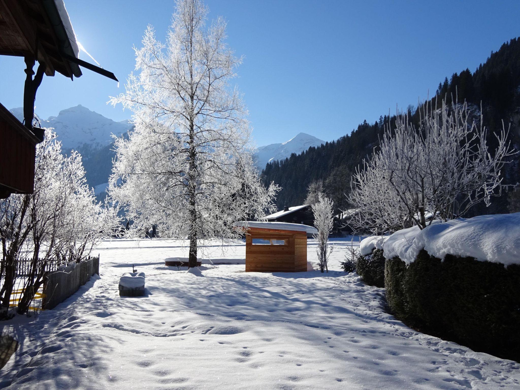 Photo 8 - Appartement de 2 chambres à Lenk avec jardin