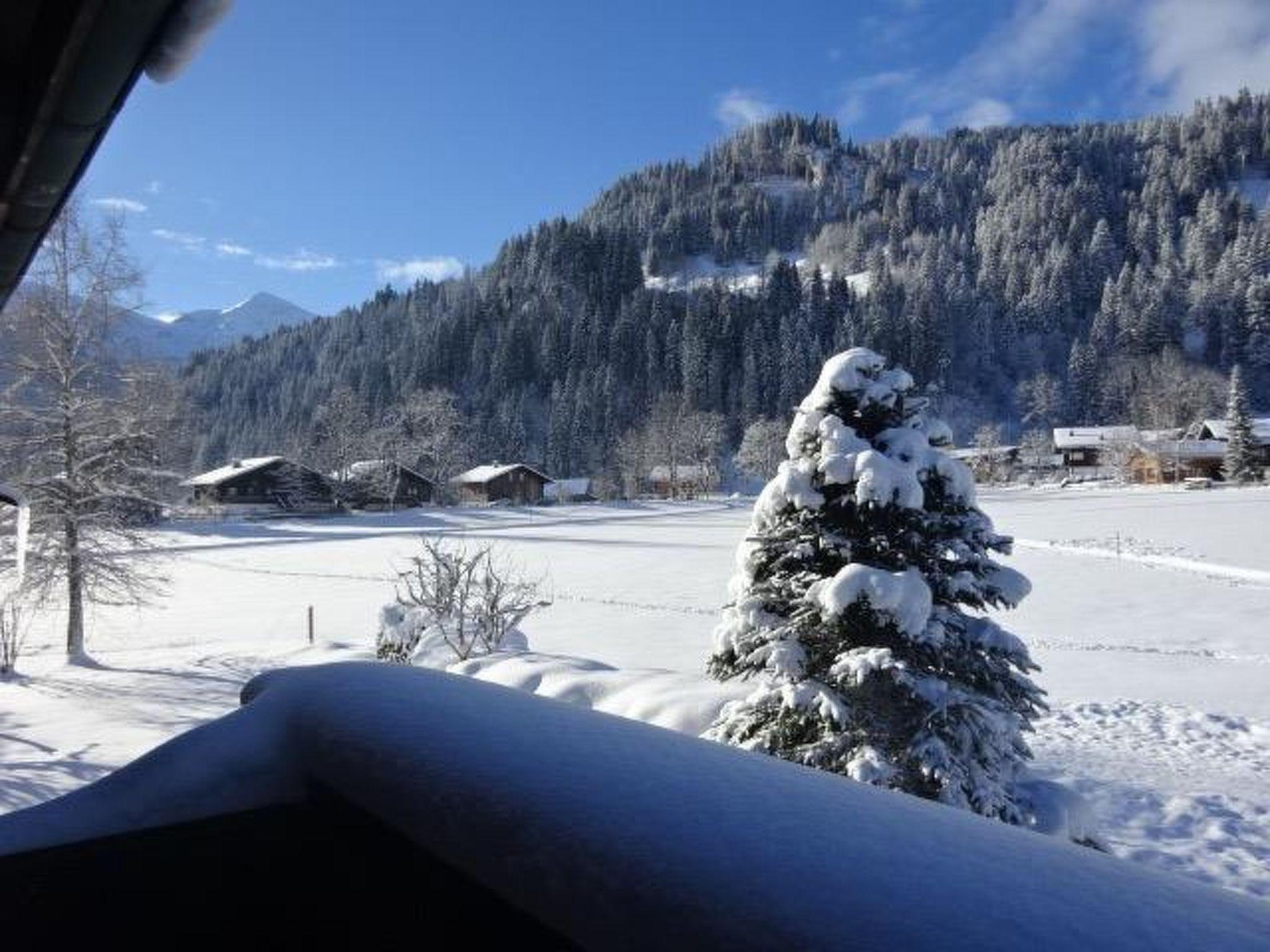 Photo 10 - Appartement de 2 chambres à Lenk avec jardin