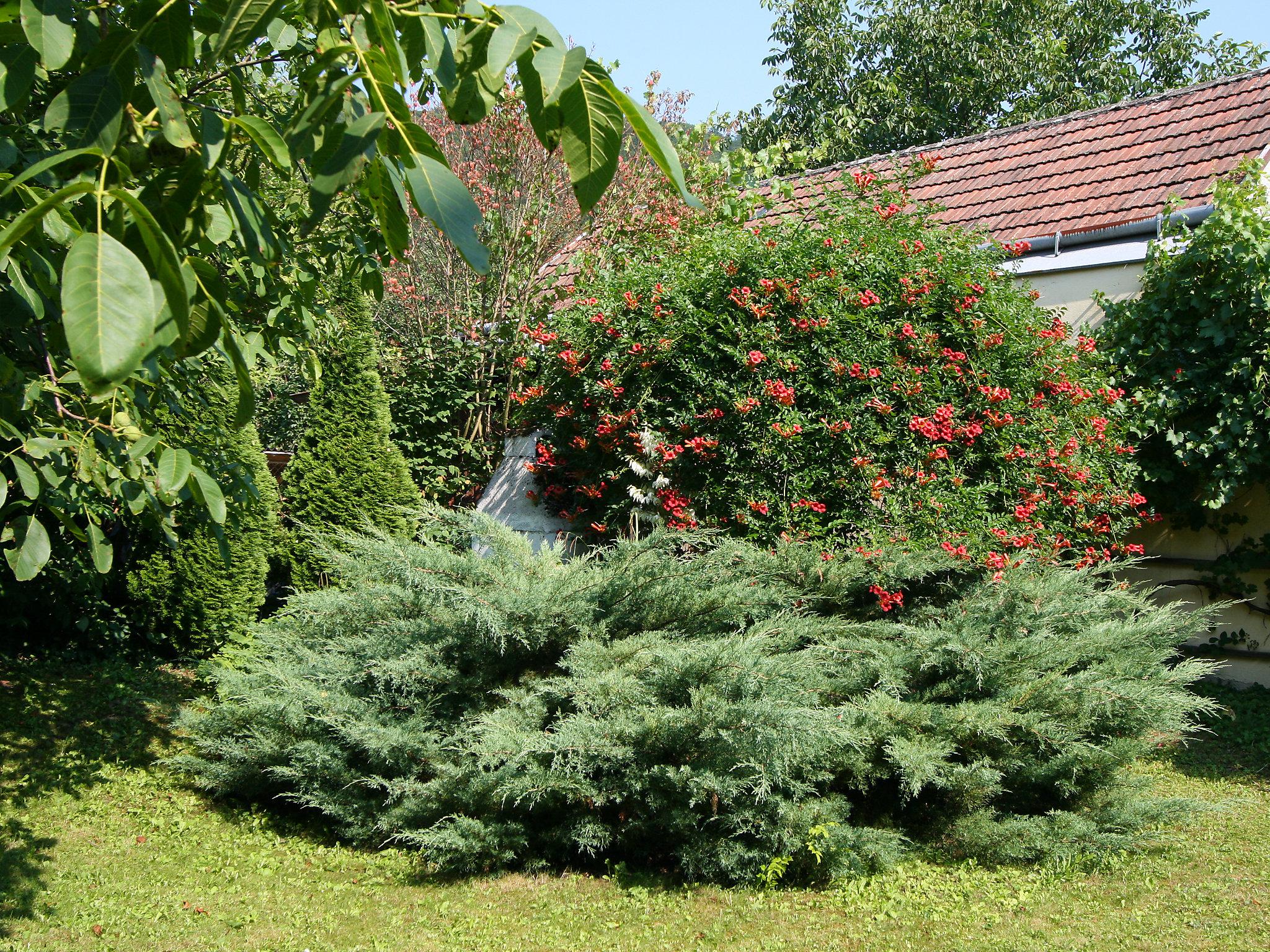 Photo 24 - Appartement en Aggsbach avec jardin