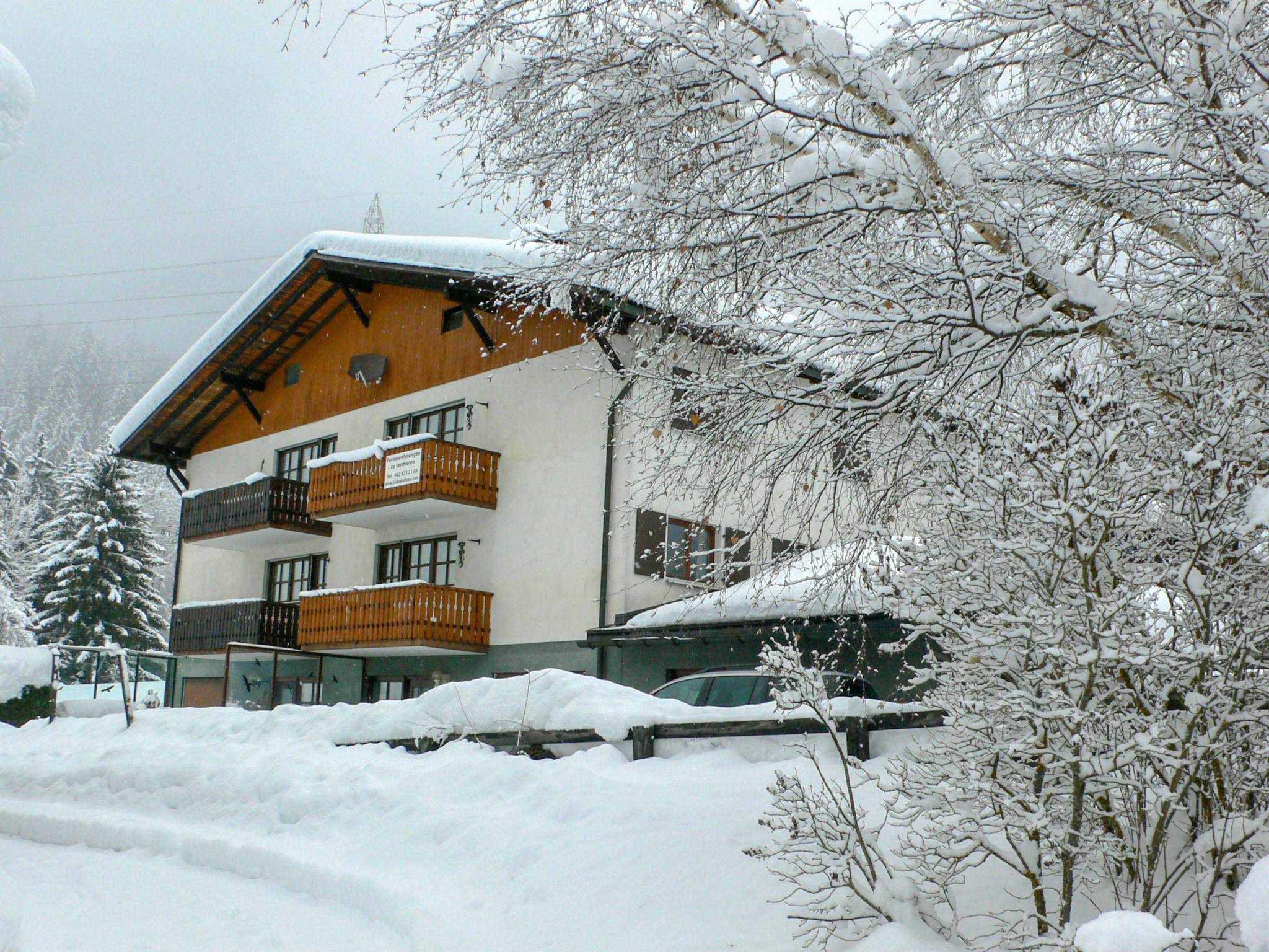 Photo 38 - Appartement de 2 chambres à Albula/Alvra avec jardin