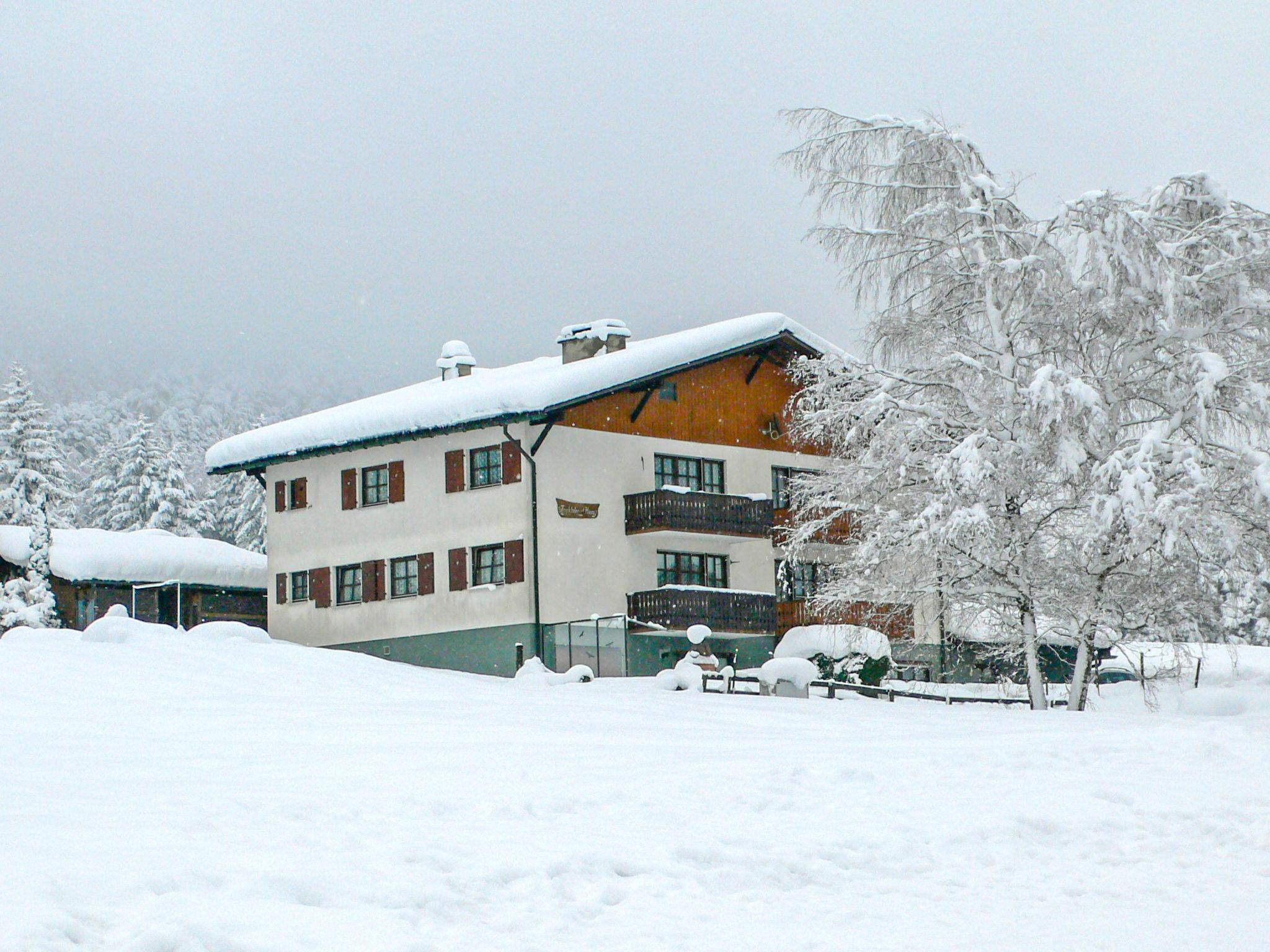 Photo 37 - Appartement de 2 chambres à Albula/Alvra avec jardin