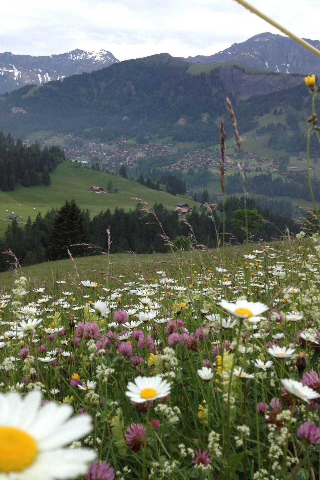 Foto 27 - Appartamento con 2 camere da letto a Adelboden