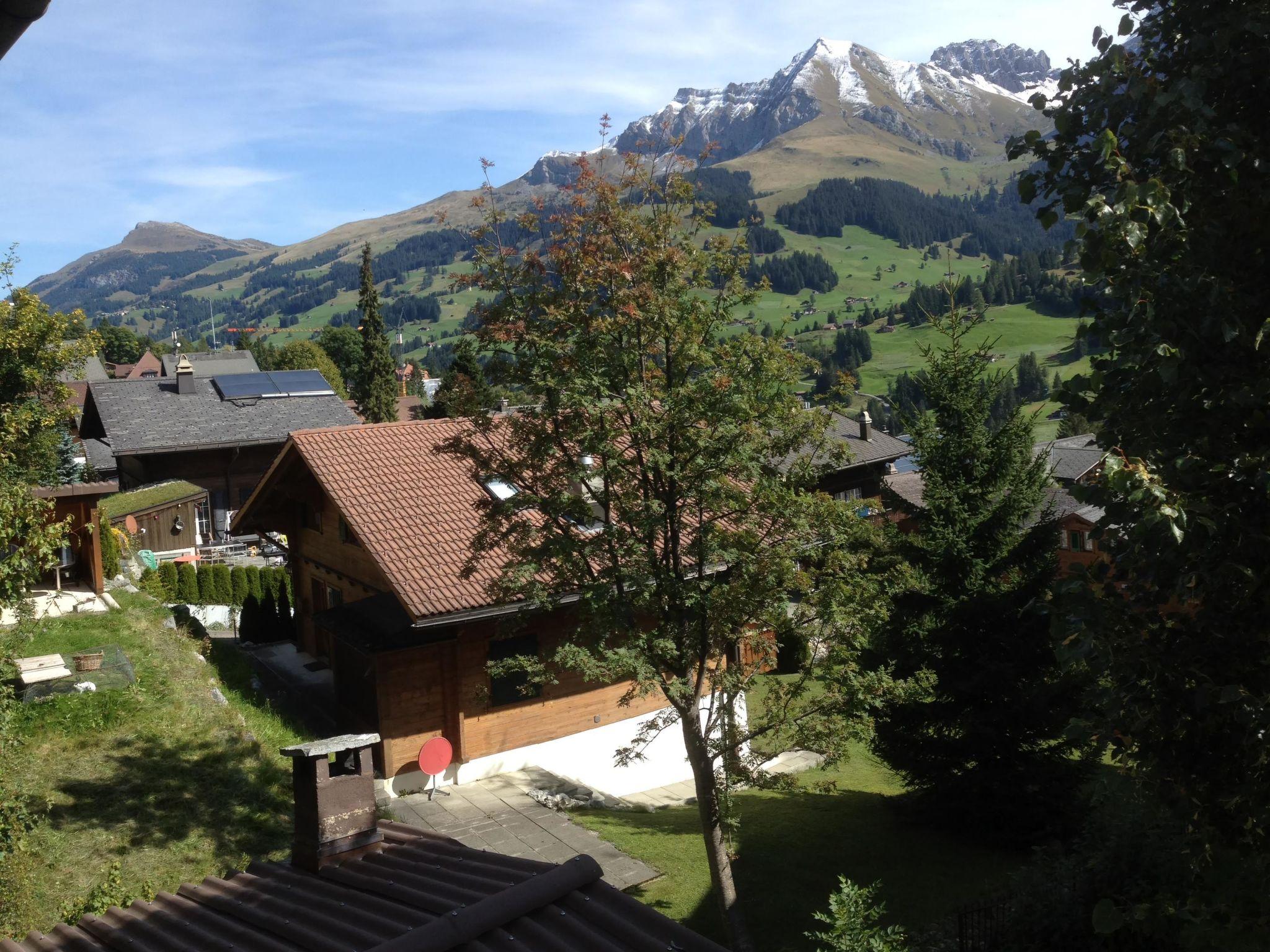 Foto 21 - Appartamento con 2 camere da letto a Adelboden