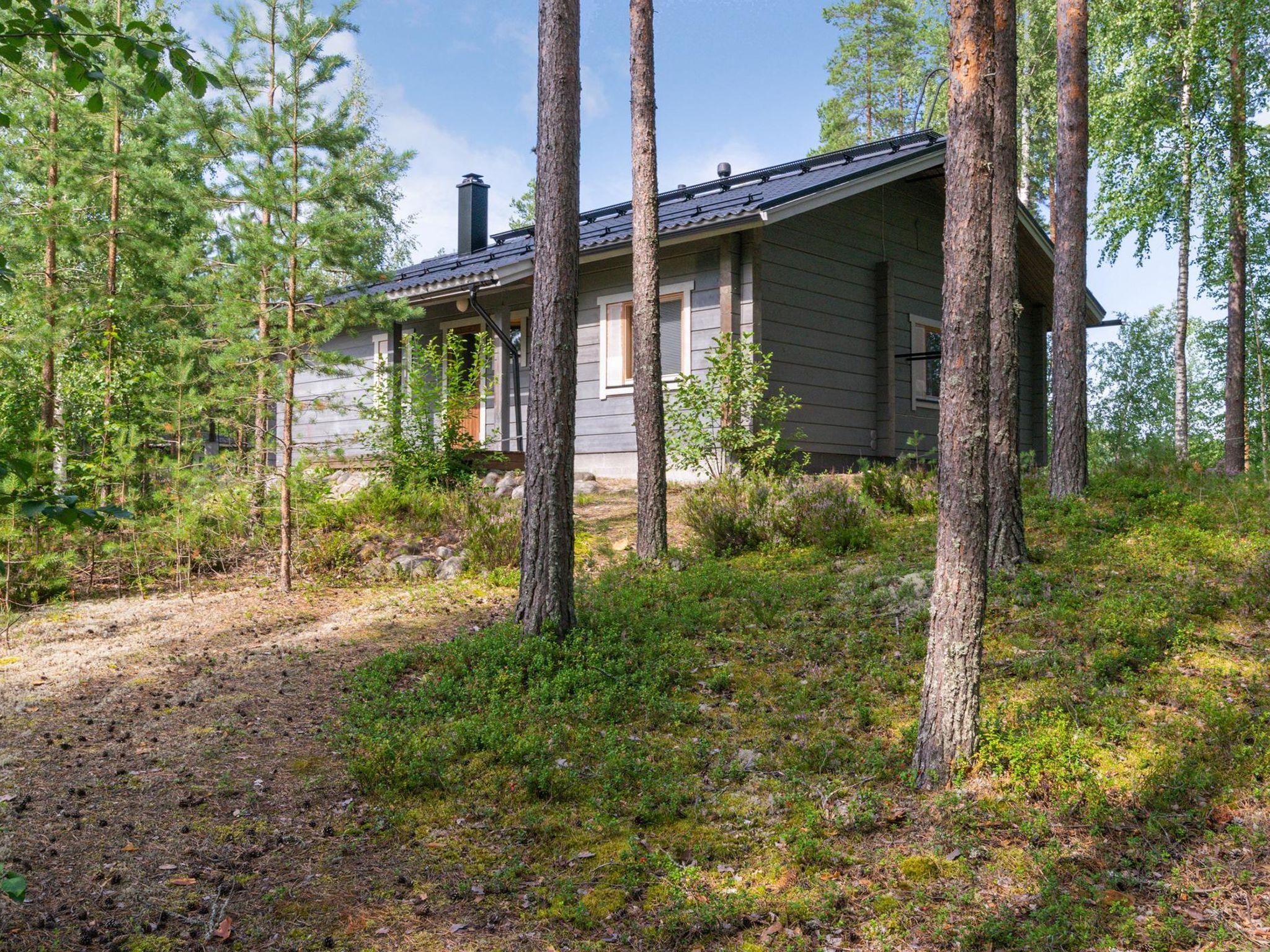 Photo 2 - Maison de 2 chambres à Enonkoski avec sauna et bain à remous