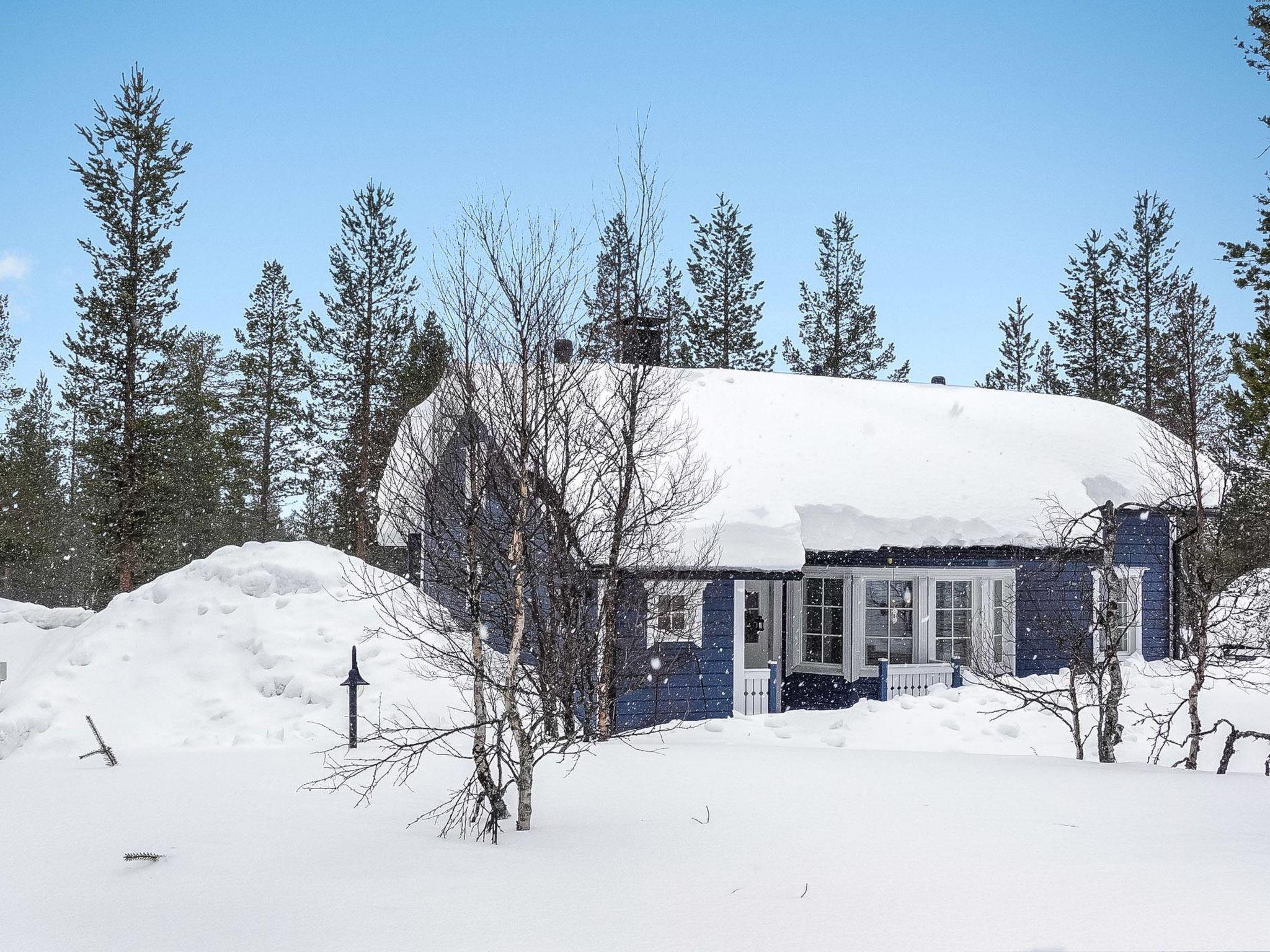 Foto 3 - Haus mit 2 Schlafzimmern in Inari mit sauna und blick auf die berge