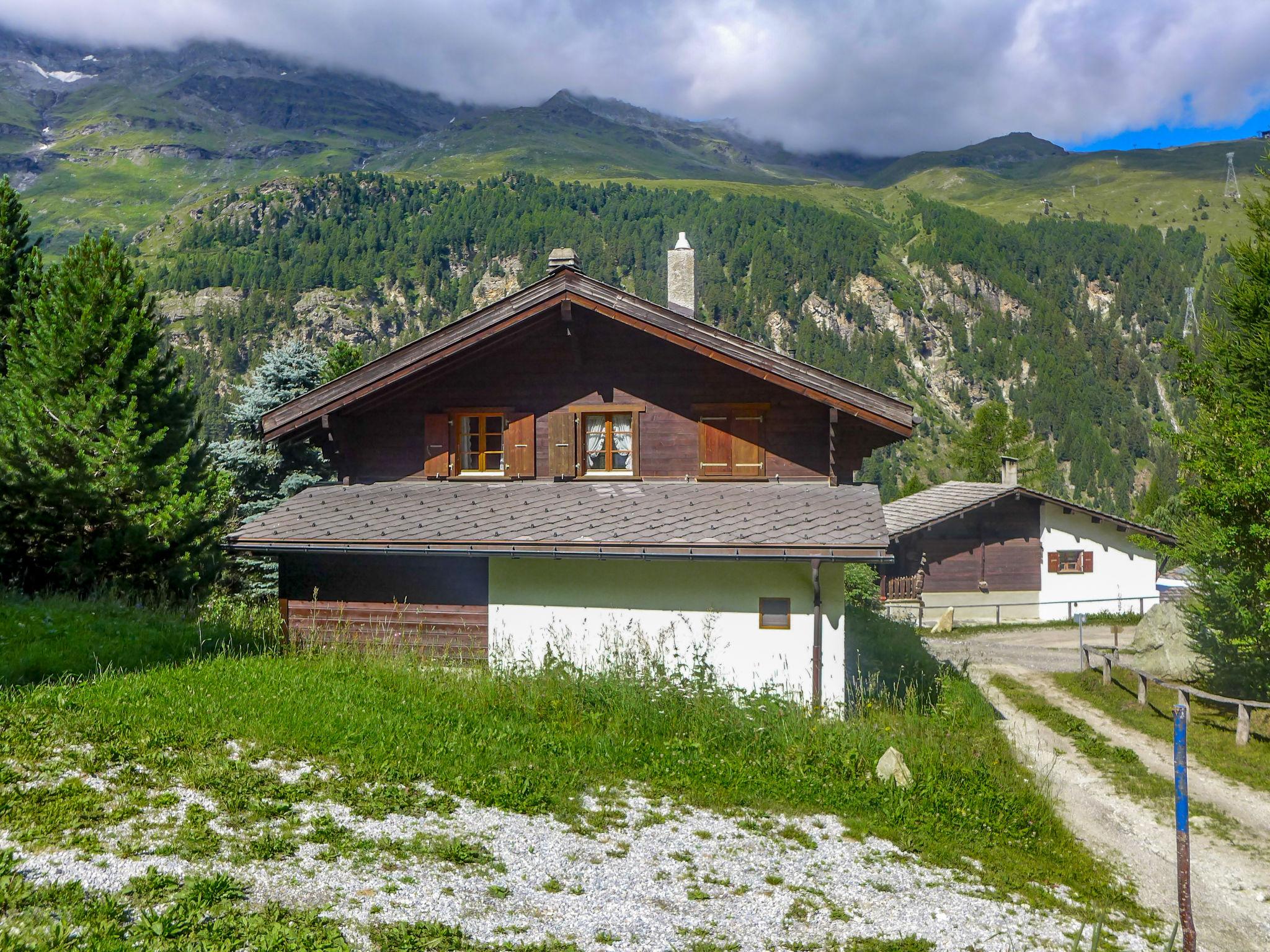 Foto 15 - Casa de 3 habitaciones en Anniviers con jardín y vistas a la montaña