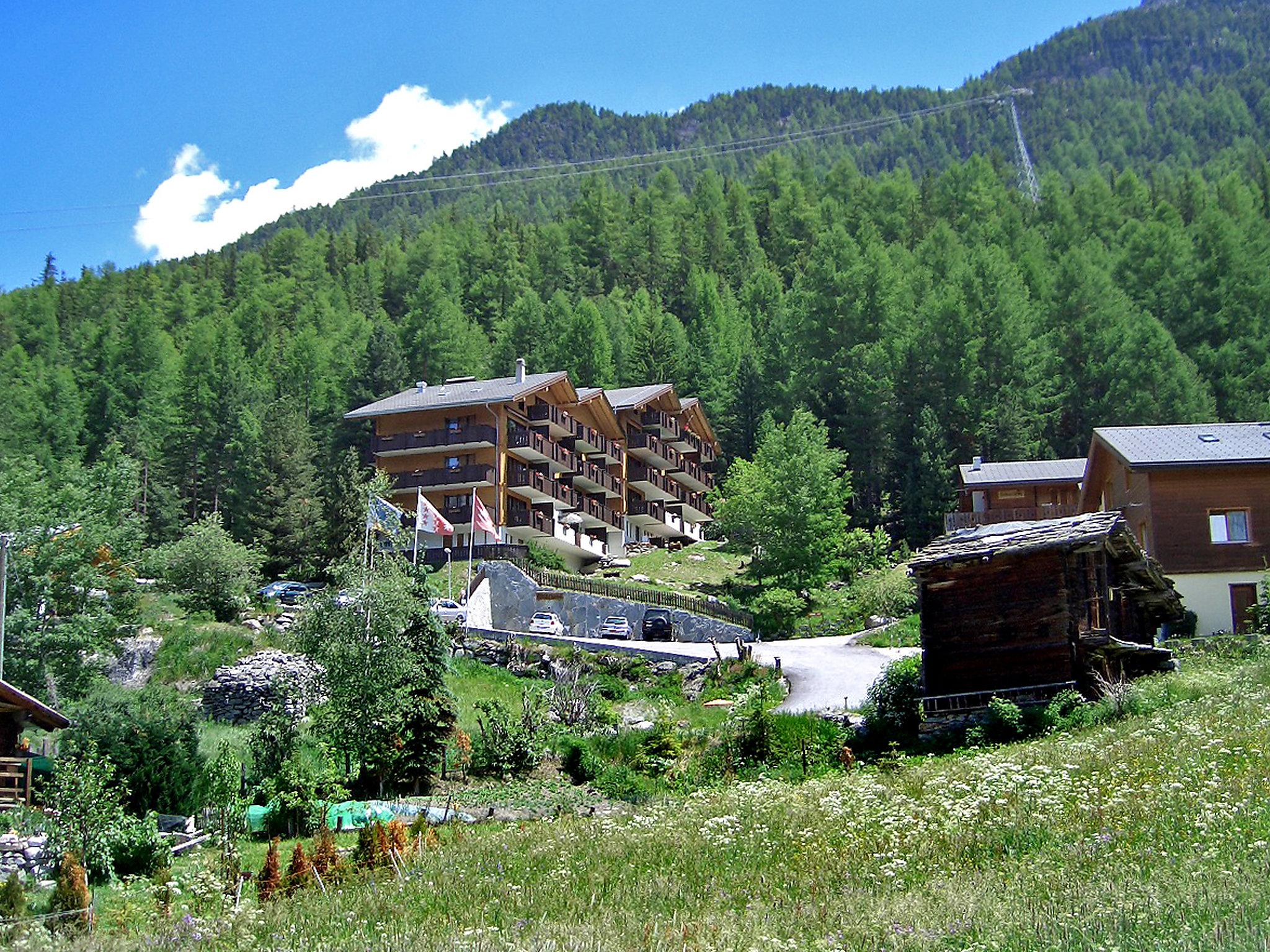 Foto 10 - Appartamento con 2 camere da letto a Grächen con vista sulle montagne