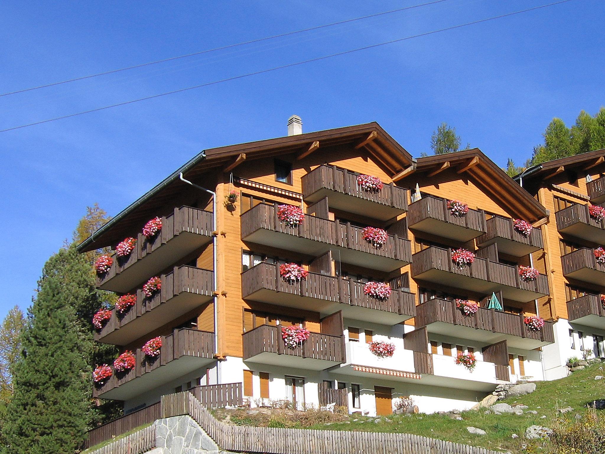 Foto 1 - Apartment mit 2 Schlafzimmern in Grächen mit blick auf die berge