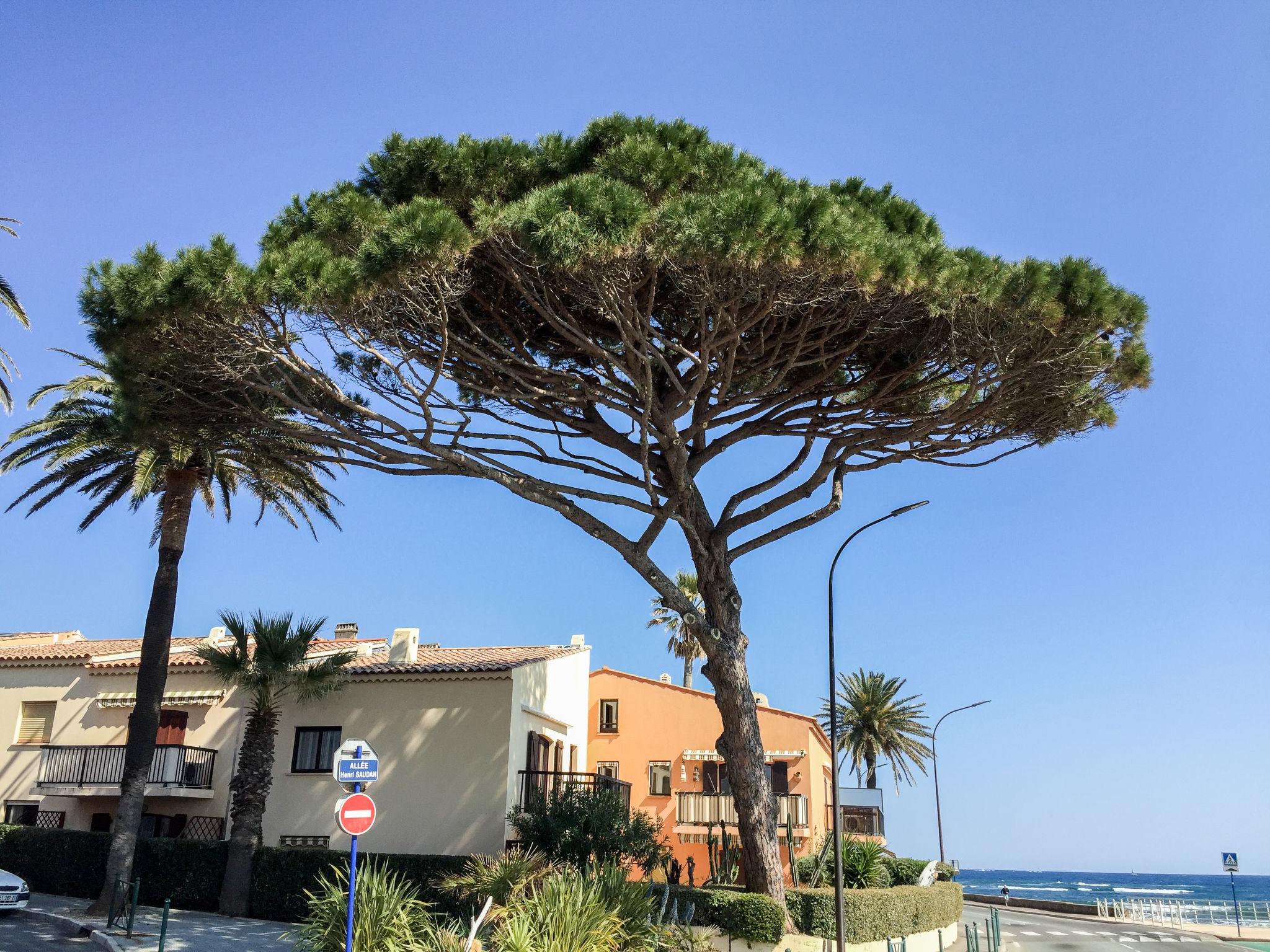 Foto 16 - Appartamento con 3 camere da letto a Sainte-Maxime con terrazza