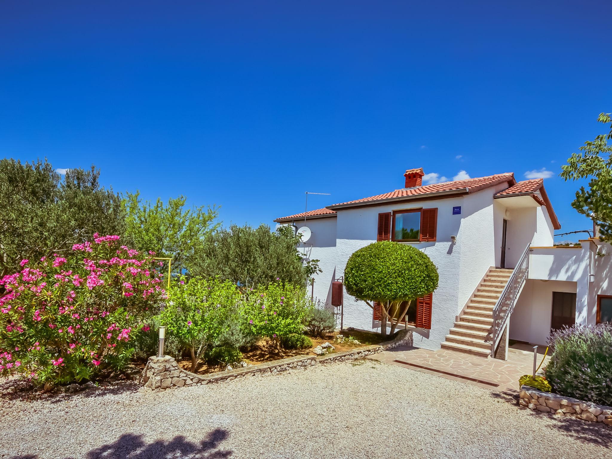 Photo 1 - Maison de 4 chambres à Obrovac avec jardin et vues à la mer