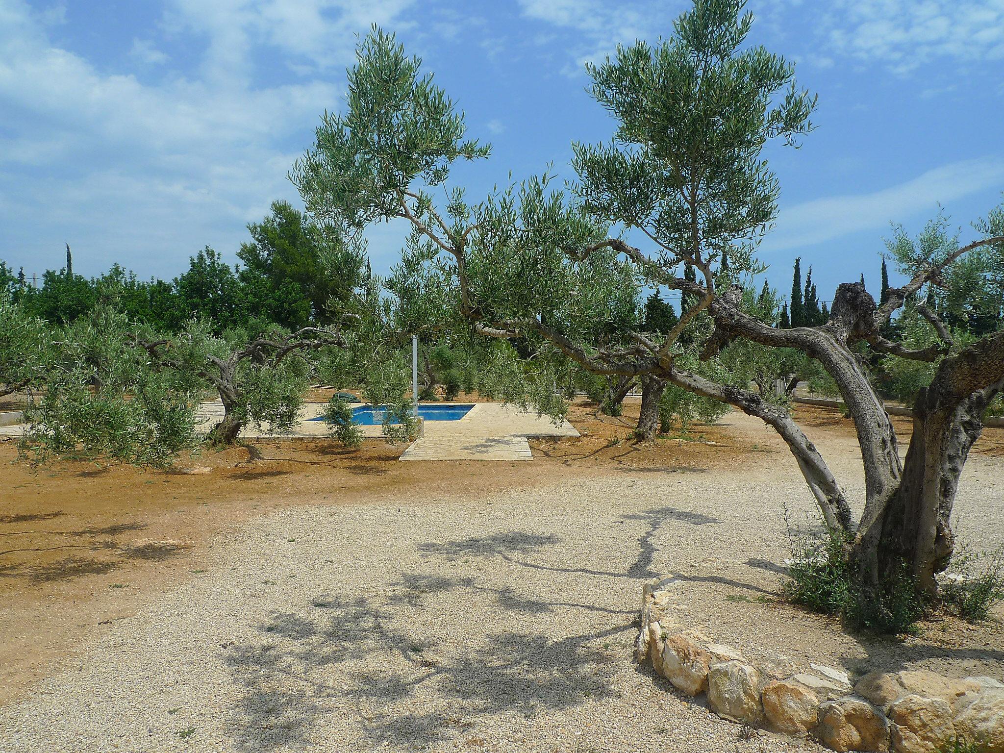 Photo 13 - Maison de 3 chambres à l'Ampolla avec piscine privée et jardin