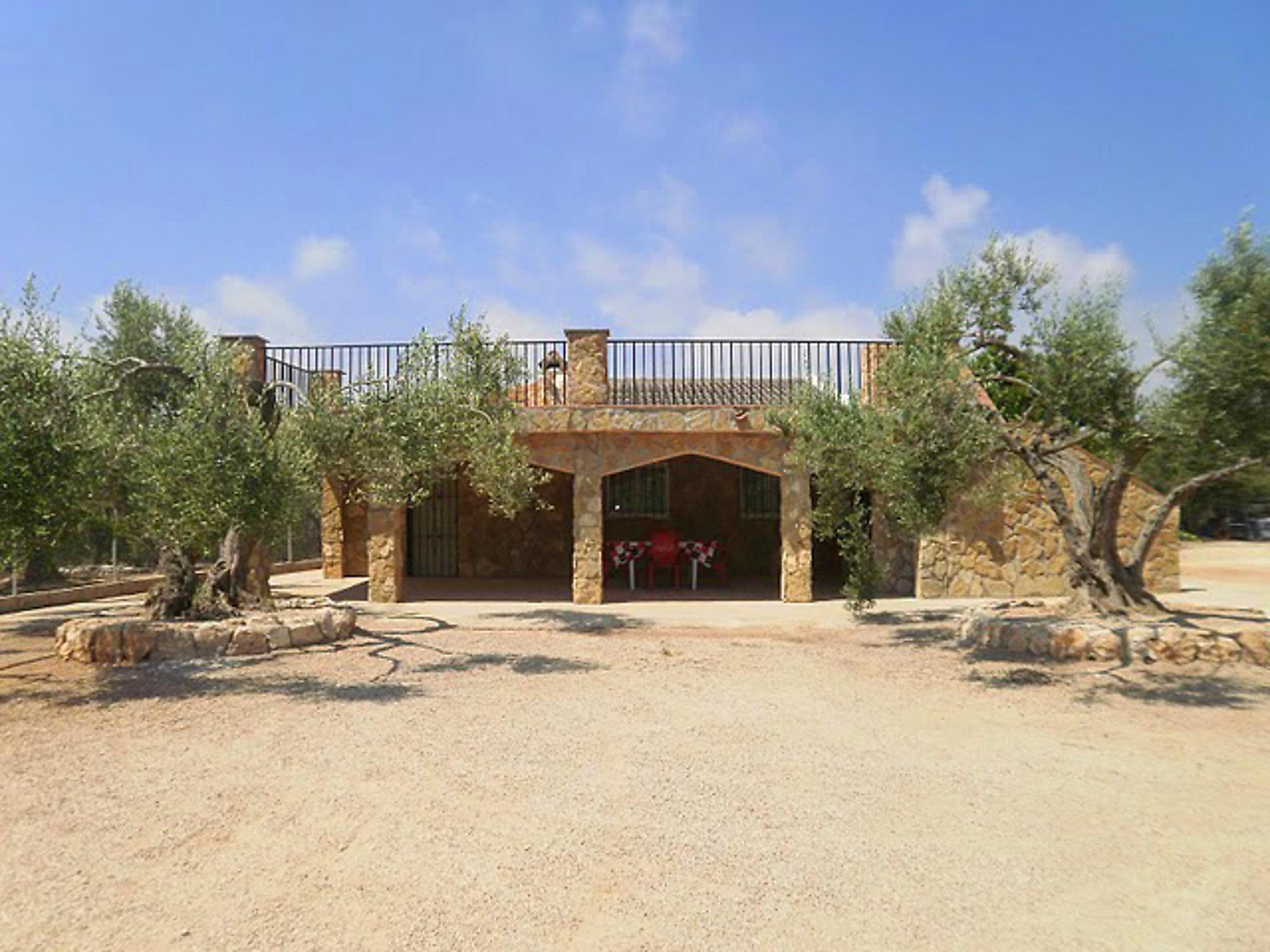 Photo 16 - Maison de 3 chambres à l'Ampolla avec piscine privée et vues à la mer