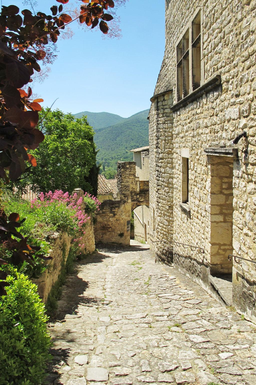 Foto 41 - Casa de 4 quartos em Le Poët-Laval com jardim e terraço