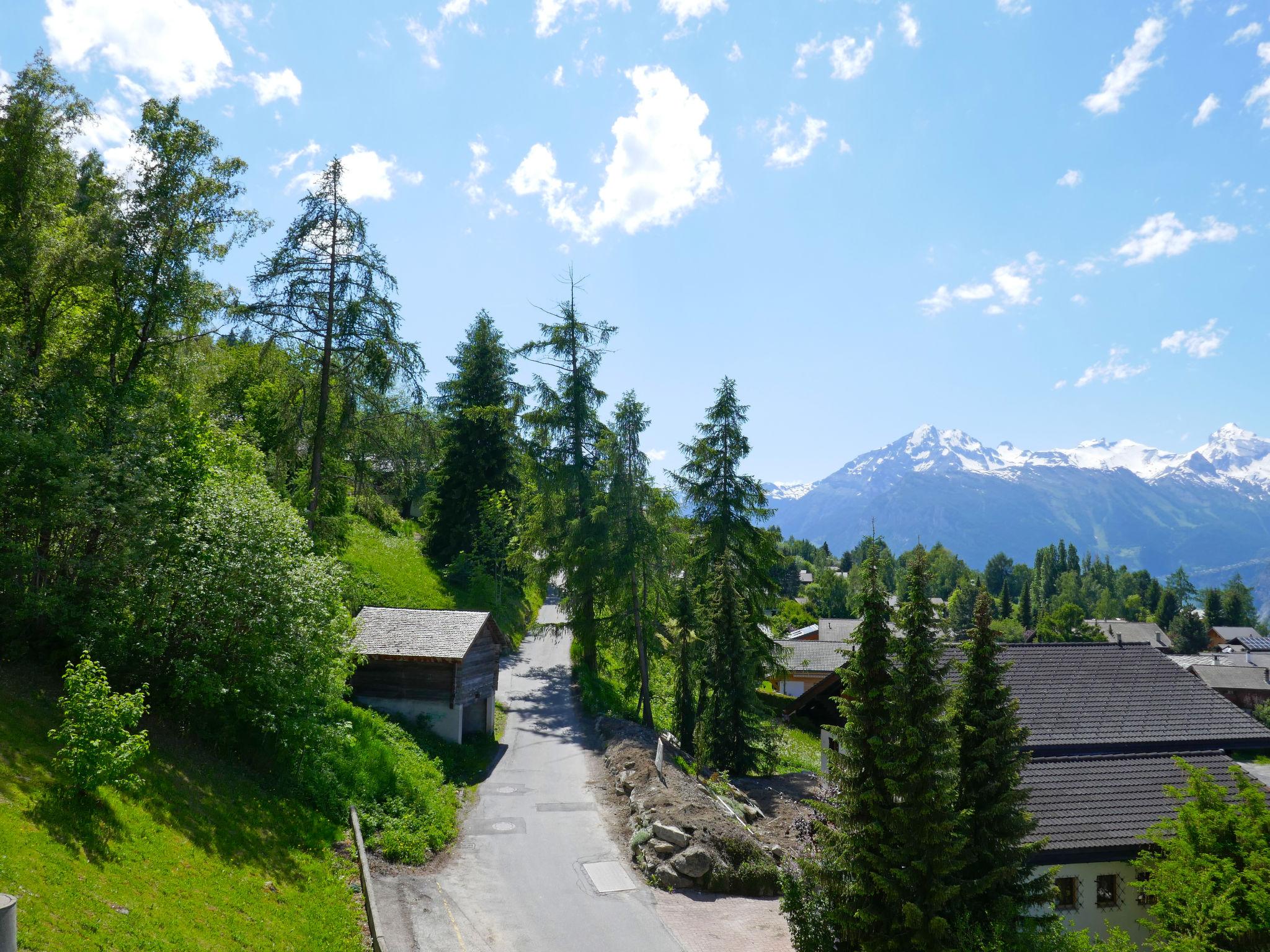 Foto 19 - Apartment mit 1 Schlafzimmer in Nendaz mit blick auf die berge