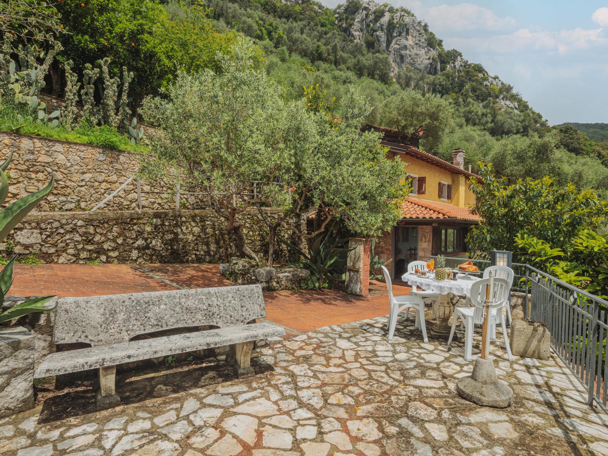 Foto 39 - Casa con 4 camere da letto a Camaiore con piscina privata e giardino