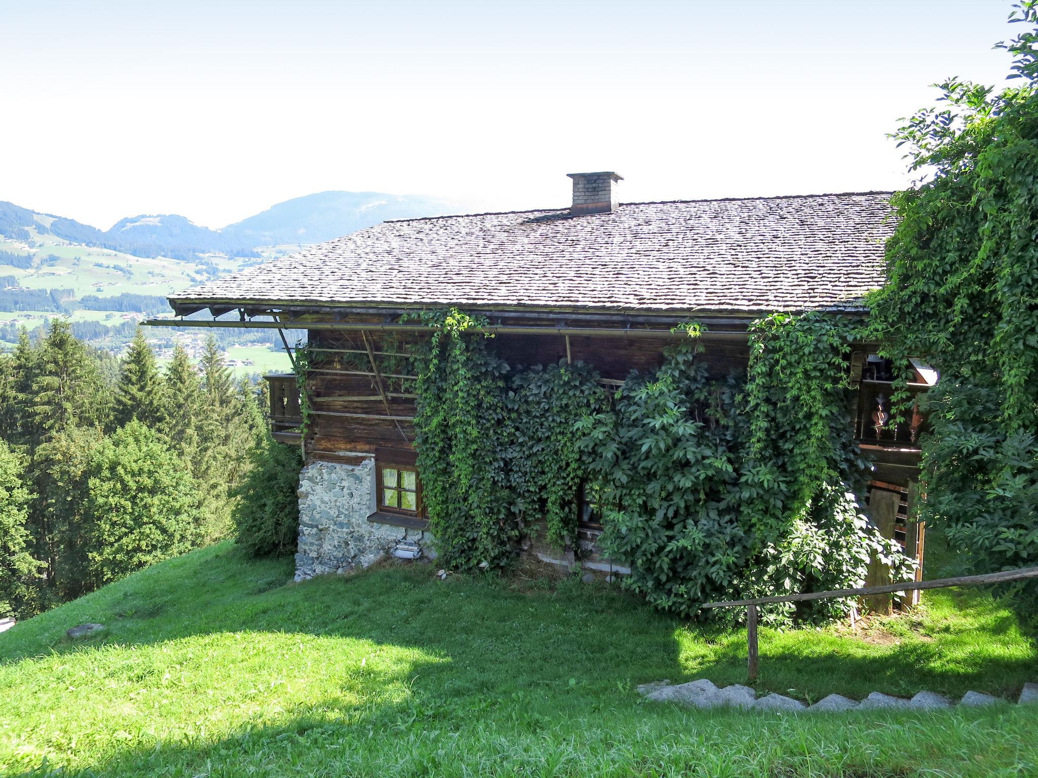 Photo 1 - Maison de 5 chambres à Hollersbach im Pinzgau avec terrasse et vues sur la montagne
