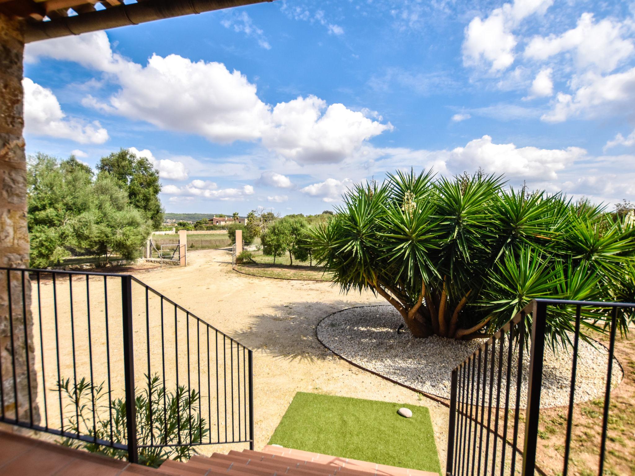 Foto 35 - Casa de 3 quartos em Sineu com piscina privada e jardim