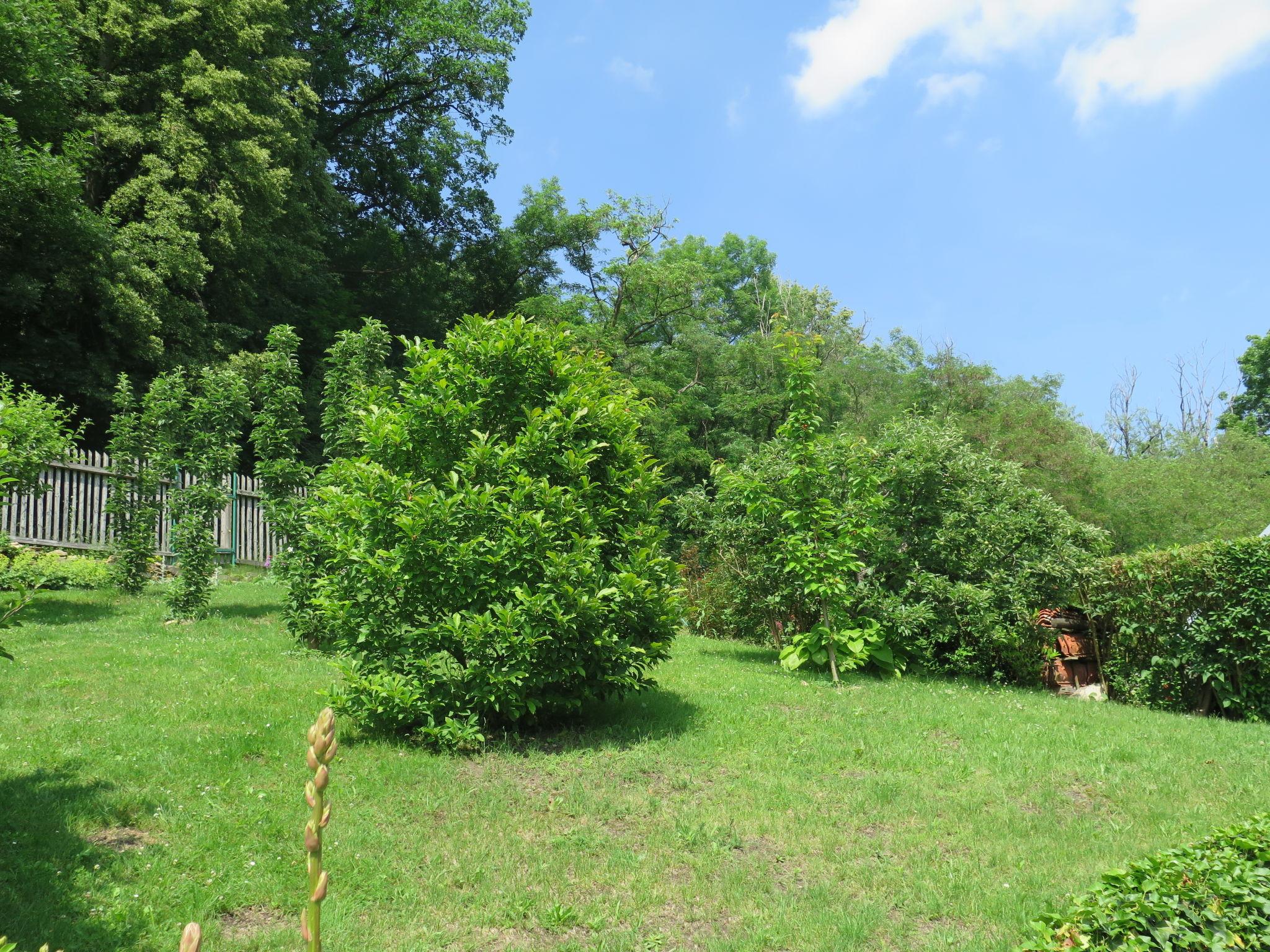 Photo 16 - Maison de 1 chambre à Bechyně avec jardin et terrasse