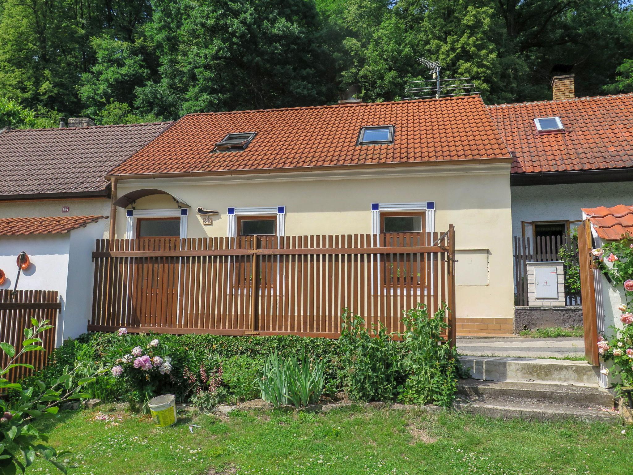 Foto 12 - Casa de 1 habitación en Bechyně con jardín y terraza