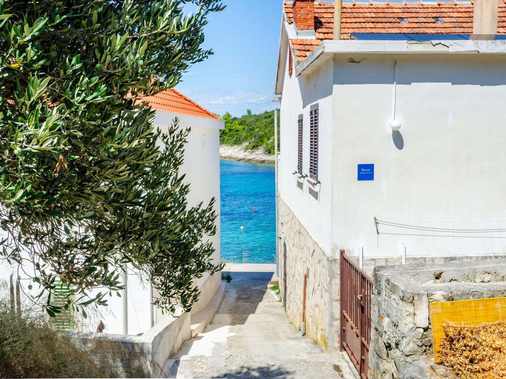 Foto 23 - Haus mit 2 Schlafzimmern in Korčula mit terrasse und blick aufs meer