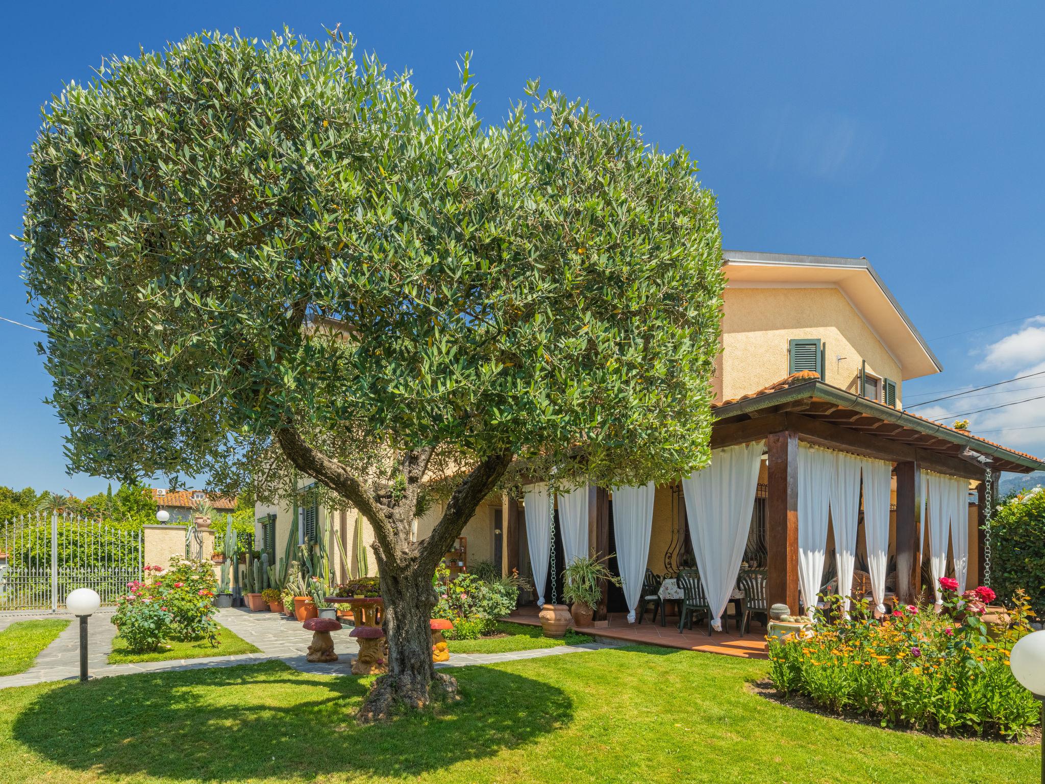 Foto 2 - Casa con 3 camere da letto a Pietrasanta con giardino e vista mare