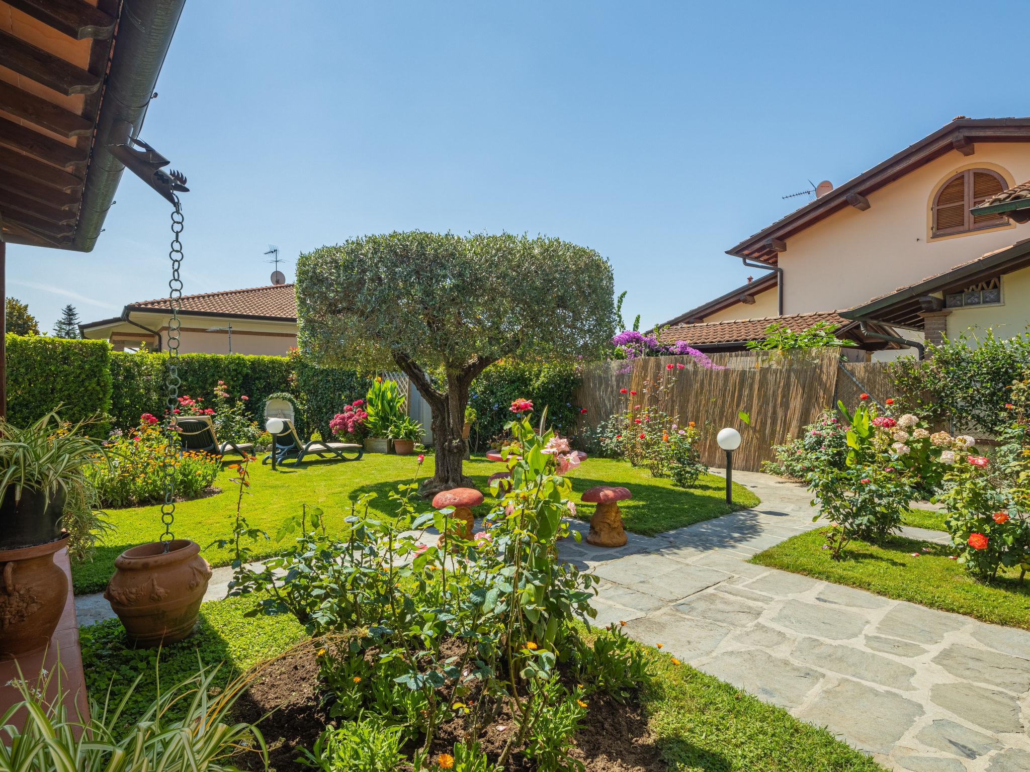 Photo 24 - Maison de 3 chambres à Pietrasanta avec jardin