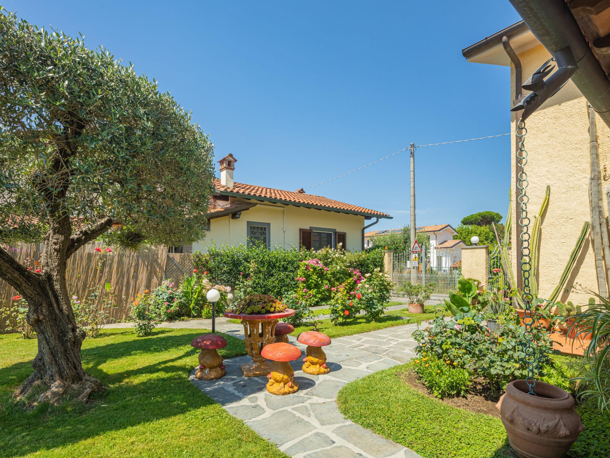 Photo 23 - 3 bedroom House in Pietrasanta with garden and sea view