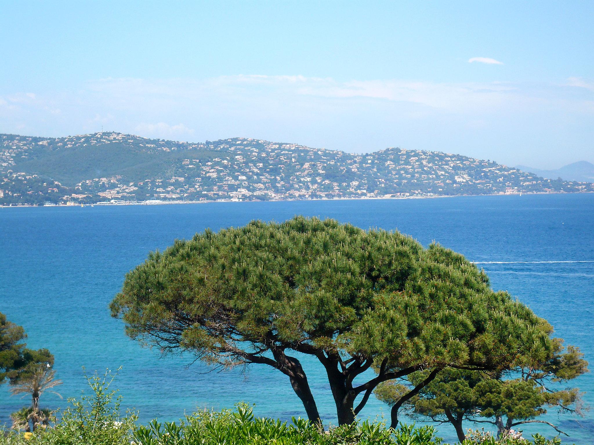 Foto 25 - Haus mit 4 Schlafzimmern in Sainte-Maxime mit privater pool und blick aufs meer