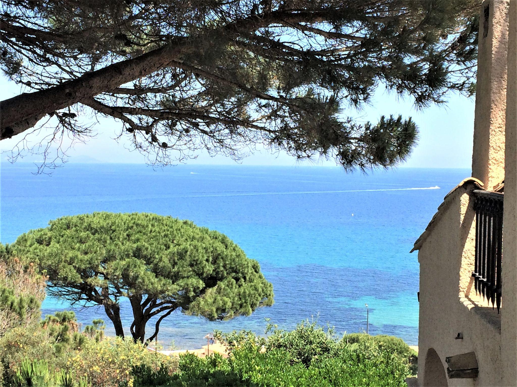 Photo 24 - Maison de 4 chambres à Sainte-Maxime avec piscine privée et jardin