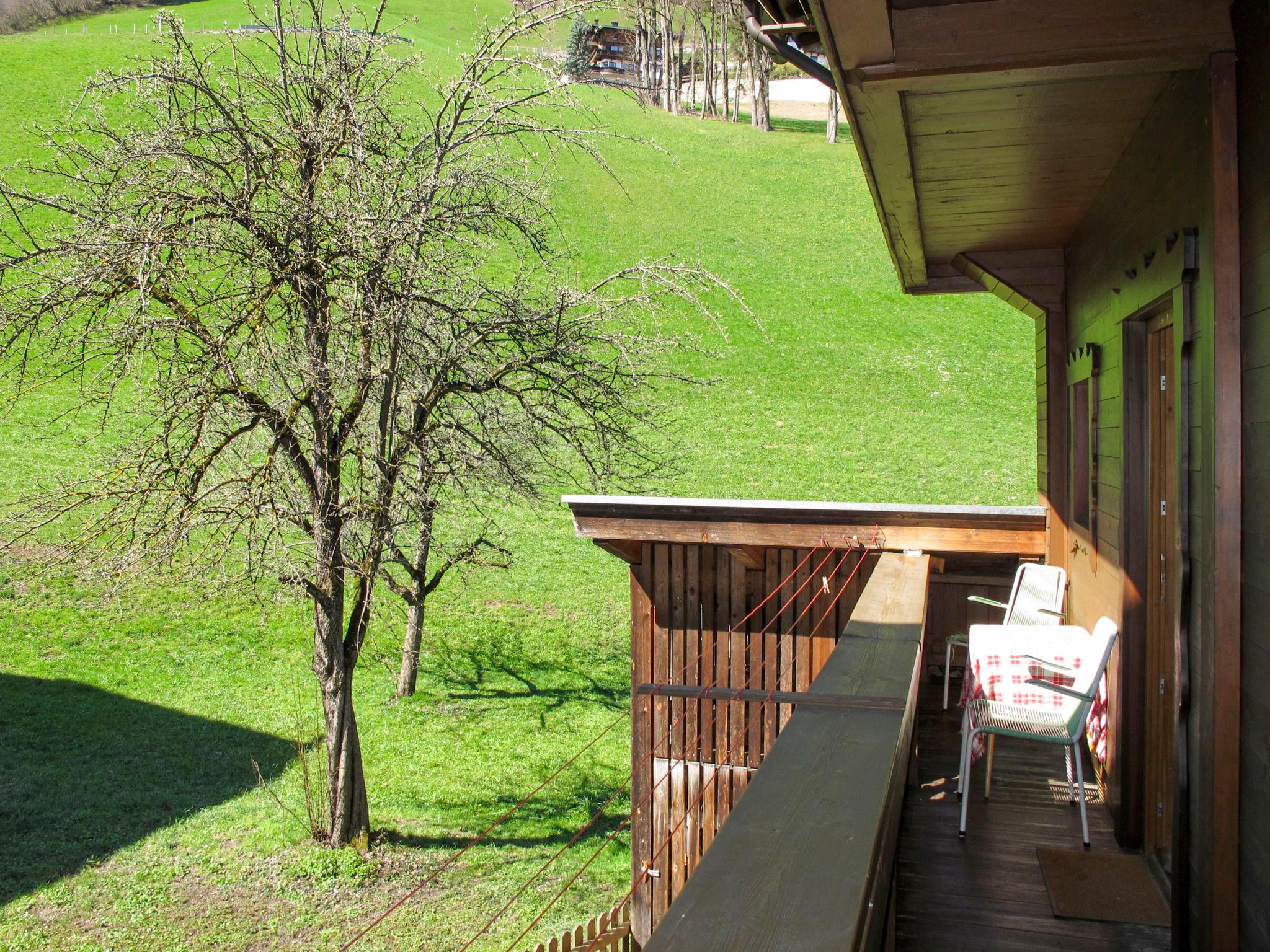 Photo 2 - Appartement de 5 chambres à Schwendau avec vues sur la montagne