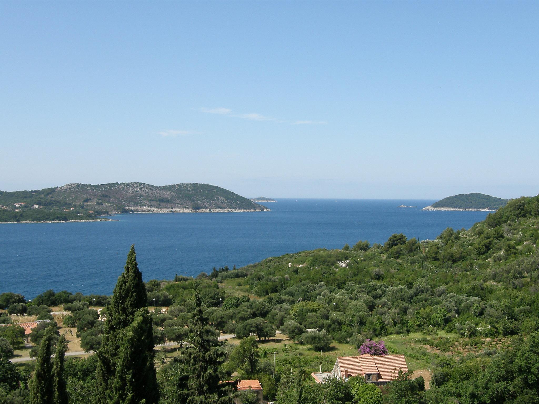 Foto 9 - Apartamento de 2 quartos em Dubrovnik com piscina e vistas do mar