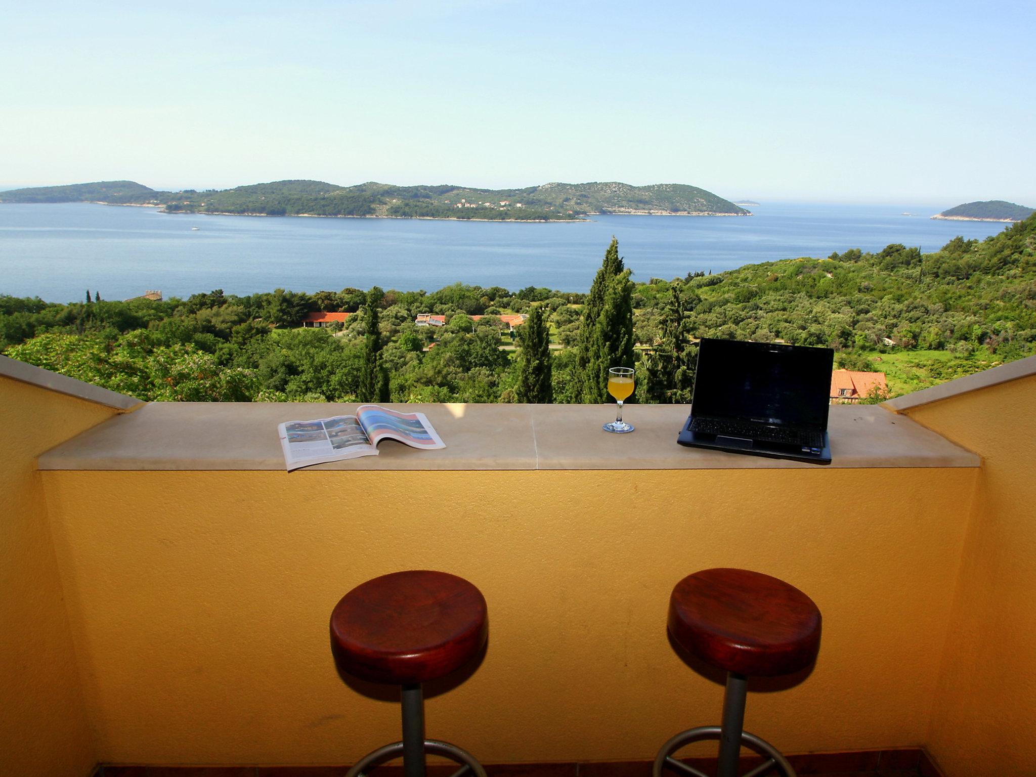 Foto 5 - Apartamento de 2 habitaciones en Dubrovnik con piscina y vistas al mar