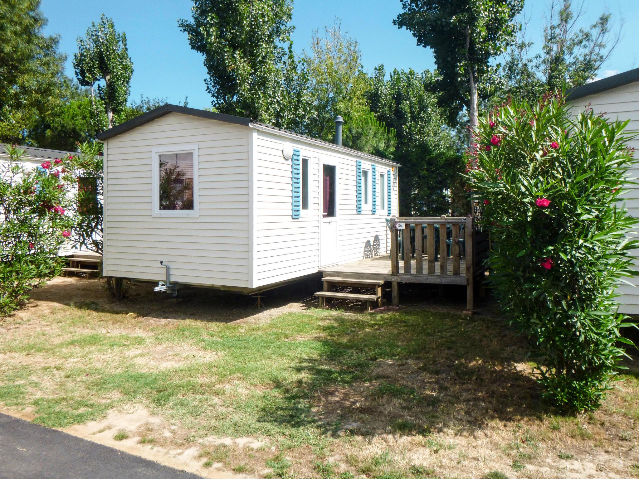 Foto 14 - Haus mit 2 Schlafzimmern in Argelès-sur-Mer mit schwimmbad und garten