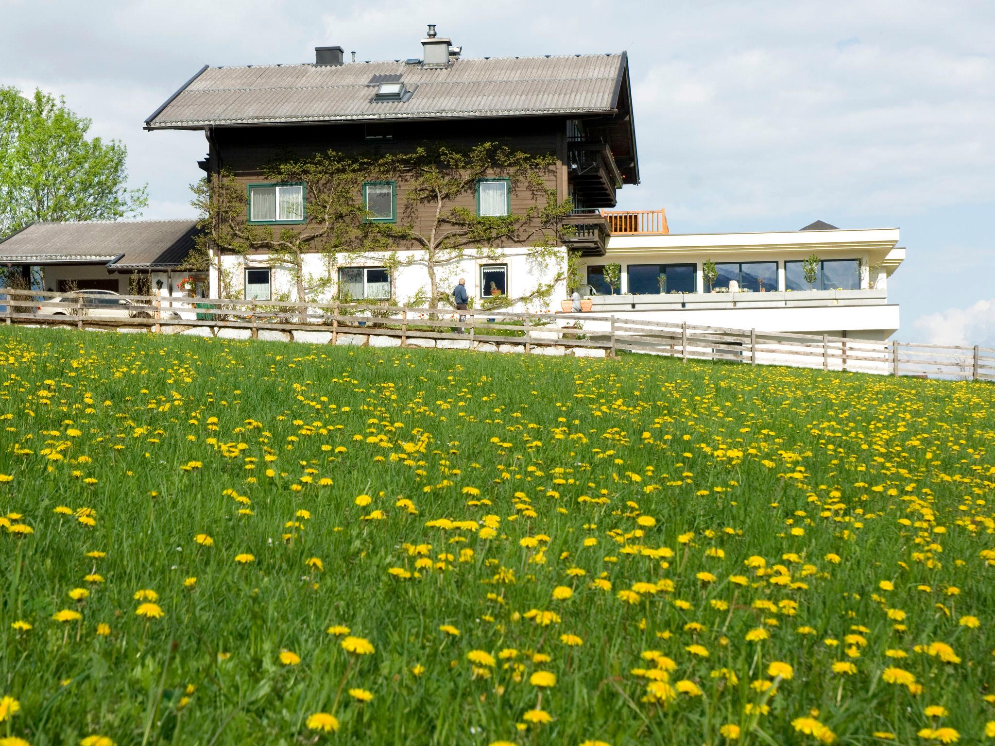 Foto 1 - Appartamento con 10 camere da letto a Hollersbach im Pinzgau con terrazza e vista sulle montagne