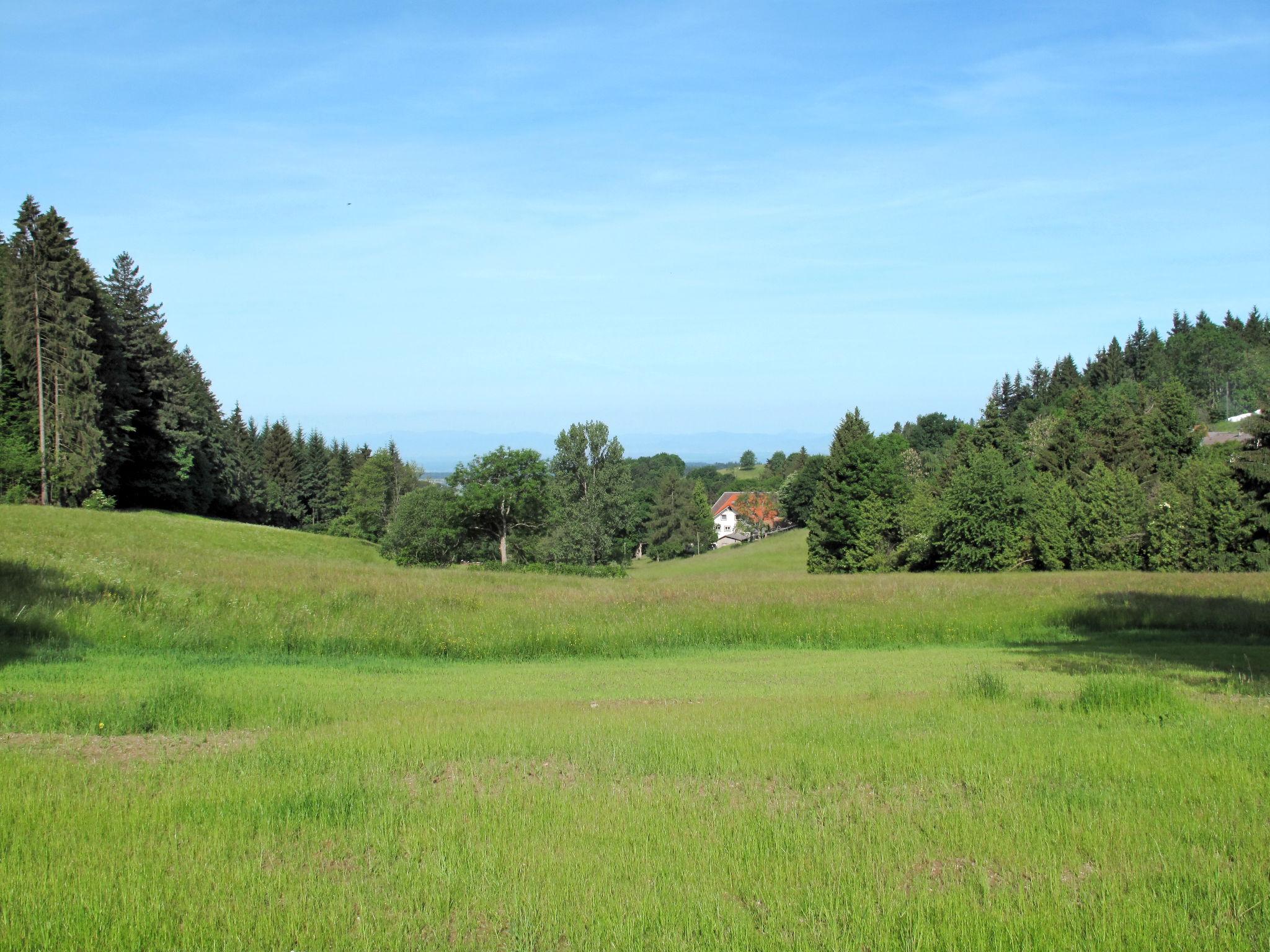 Photo 20 - Maison de 4 chambres à Freiamt avec jardin et vues sur la montagne