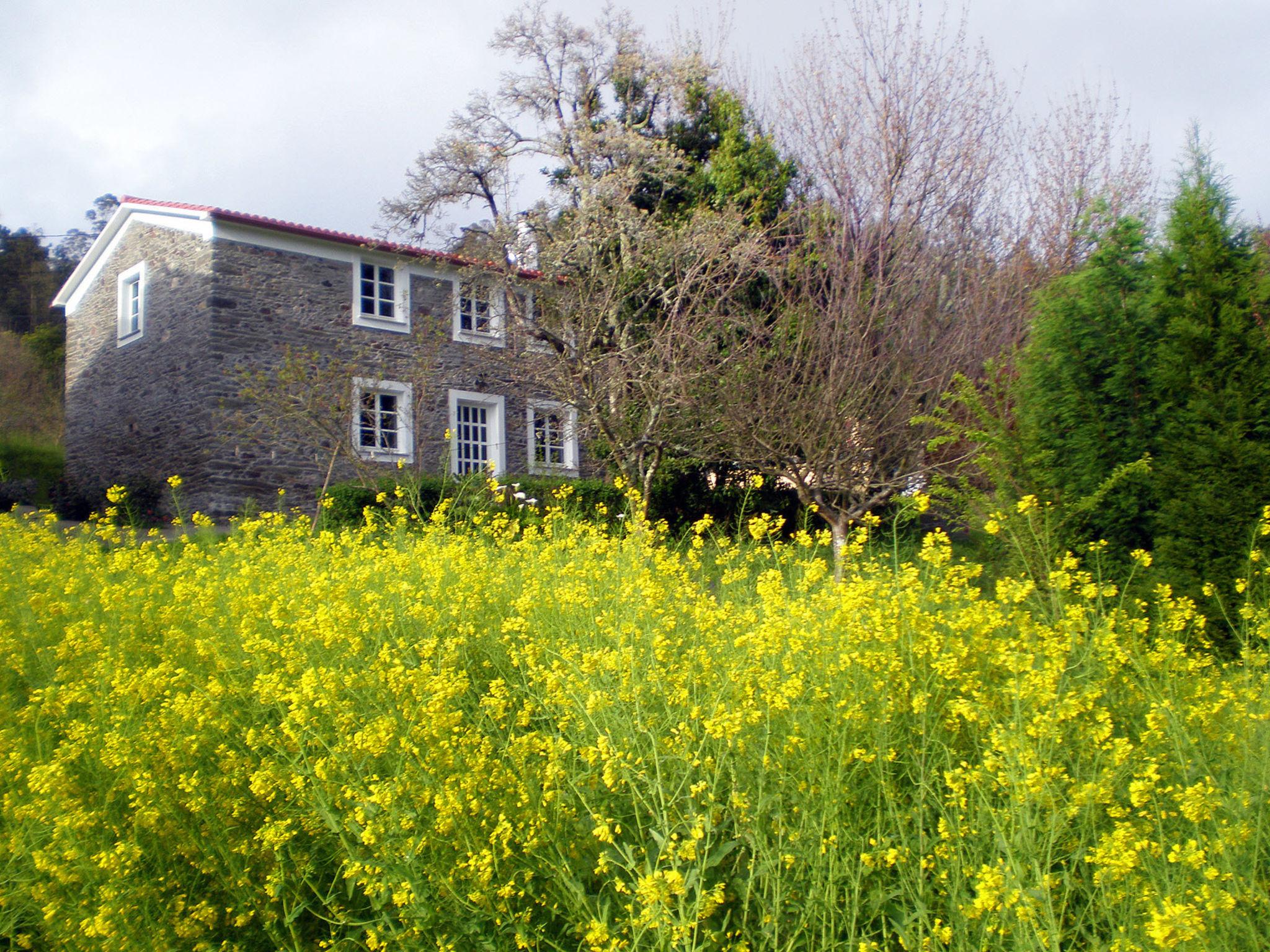 Photo 5 - Maison de 3 chambres à Miño avec jardin et vues à la mer