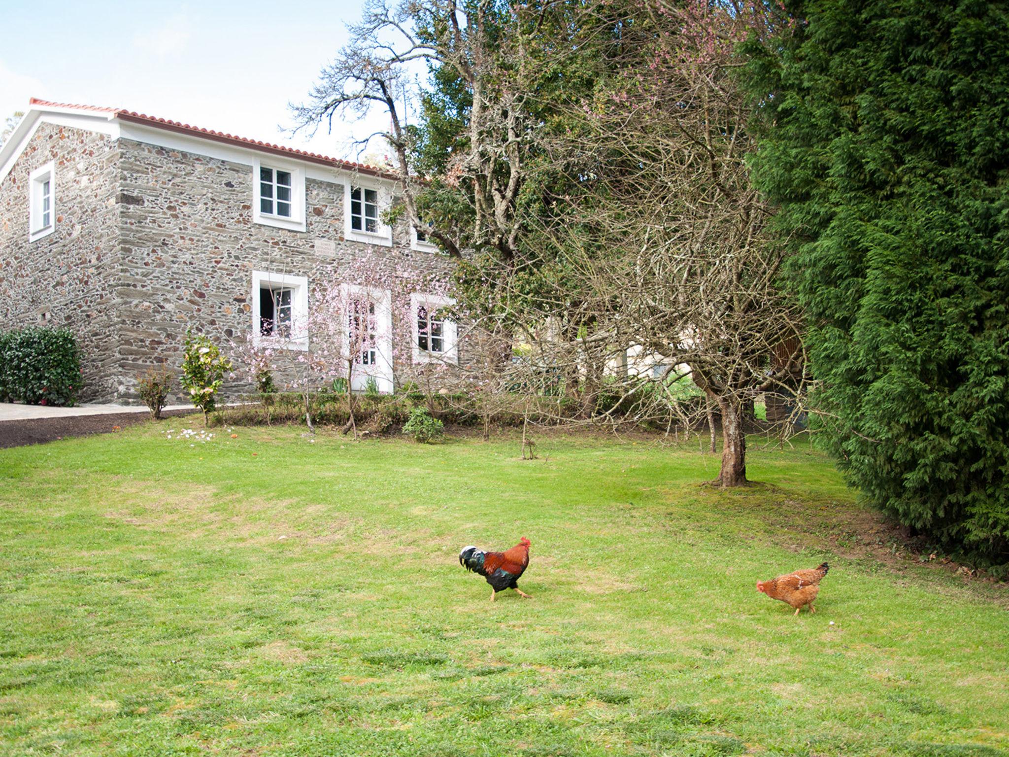 Photo 18 - Maison de 3 chambres à Miño avec jardin et vues à la mer